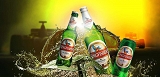 Piwo Indyjskie Kingfisher 4,8%  330 ml