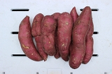Słodki Ziemniak / Batat  -  1kg